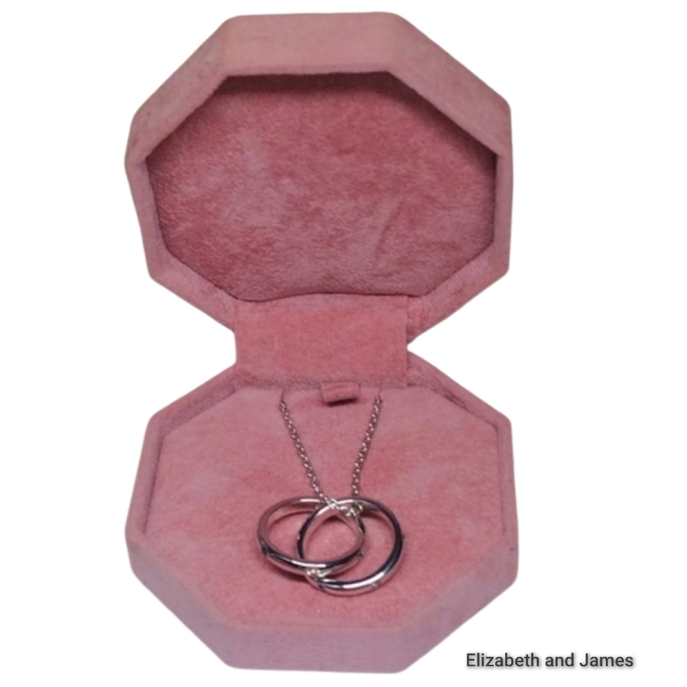Elizabeth and James Minimalist Design Double Ring Silver Tone Necklace. NWOT